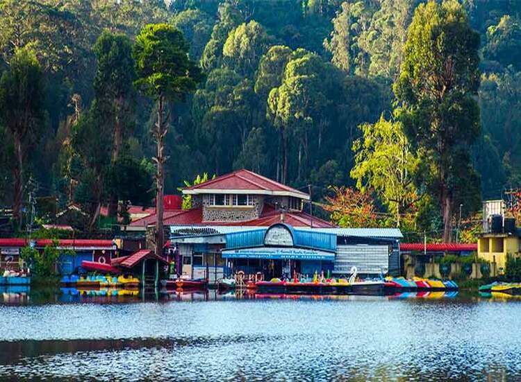 Travels in Kodaikanal | Tour Packages in Kodaikanal | Best Travels in Kodaikanal | Local Tour Packages in Kodaikanal | Kodaikanal Travels | Cab Rentals in Kodaikanal | Car Booking in Kodaikanal | Hotel in Kodaikanal | Cottages in Kodaikanal | Resorts in Kodaikanal | Hotels and Resorts in Kodikanal | Camp Fire in Kodiakanal | Kodaikanal Resorts | Kodaikanal Hotels | Group Tours | Corporate Tours | Kodaikanal Package Tours | Kodaikanal sightseeing tour package| kodaikanal local tours|Honeymoon Packages| Honeymoon package in kodaikanal|kodaikanal Tour package | Kodaikanal Tours | Kodaikanal Sightseeing | Kodaikanal | Kodaikanal Hotels | Kodaikanal Budget Hotels | Kodaikanal Economy Hotels | Kodaikanal |Kodaikanal Hotels rates below 500| Budget cottages in Kodaikanal with rates | Kodaikanal Car Rental |Car Rental Kodaikanal |Taxi in Kodaikanal | Kodaikanal Taxi Service | Kodaikanal Cabs |South India Tours | Madurai Tours | Rameshwaram Tours | Kanyakumari Tours | Munnar Tours | Alleppey tours | Kerala tours | Thekkady tours