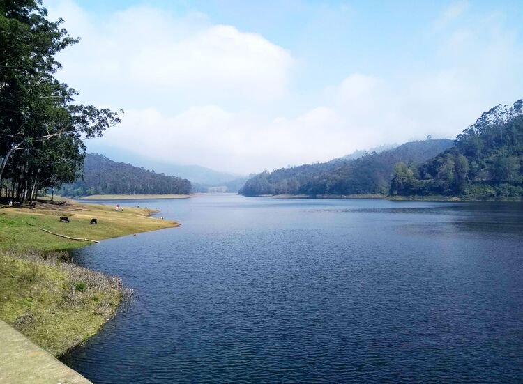 Travels in Kodaikanal | Tour Packages in Kodaikanal | Best Travels in Kodaikanal | Local Tour Packages in Kodaikanal | Kodaikanal Travels | Cab Rentals in Kodaikanal | Car Booking in Kodaikanal | Hotel in Kodaikanal | Cottages in Kodaikanal | Resorts in Kodaikanal | Hotels and Resorts in Kodikanal | Camp Fire in Kodiakanal | Kodaikanal Resorts | Kodaikanal Hotels | Group Tours | Corporate Tours | Kodaikanal Package Tours | Kodaikanal sightseeing tour package| kodaikanal local tours|Honeymoon Packages| Honeymoon package in kodaikanal|kodaikanal Tour package | Kodaikanal Tours | Kodaikanal Sightseeing | Kodaikanal | Kodaikanal Hotels | Kodaikanal Budget Hotels | Kodaikanal Economy Hotels | Kodaikanal |Kodaikanal Hotels rates below 500| Budget cottages in Kodaikanal with rates | Kodaikanal Car Rental |Car Rental Kodaikanal |Taxi in Kodaikanal | Kodaikanal Taxi Service | Kodaikanal Cabs |South India Tours | Madurai Tours | Rameshwaram Tours | Kanyakumari Tours | Munnar Tours | Alleppey tours | Kerala tours | Thekkady tours