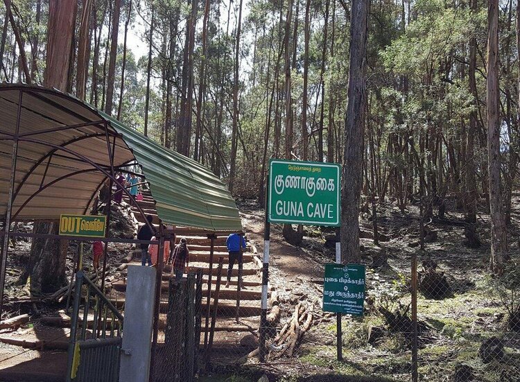 Travels in Kodaikanal | Tour Packages in Kodaikanal | Best Travels in Kodaikanal | Local Tour Packages in Kodaikanal | Kodaikanal Travels | Cab Rentals in Kodaikanal | Car Booking in Kodaikanal | Hotel in Kodaikanal | Cottages in Kodaikanal | Resorts in Kodaikanal | Hotels and Resorts in Kodikanal | Camp Fire in Kodiakanal | Kodaikanal Resorts | Kodaikanal Hotels | Group Tours | Corporate Tours | Kodaikanal Package Tours | Kodaikanal sightseeing tour package| kodaikanal local tours|Honeymoon Packages| Honeymoon package in kodaikanal|kodaikanal Tour package | Kodaikanal Tours | Kodaikanal Sightseeing | Kodaikanal | Kodaikanal Hotels | Kodaikanal Budget Hotels | Kodaikanal Economy Hotels | Kodaikanal |Kodaikanal Hotels rates below 500| Budget cottages in Kodaikanal with rates | Kodaikanal Car Rental |Car Rental Kodaikanal |Taxi in Kodaikanal | Kodaikanal Taxi Service | Kodaikanal Cabs |South India Tours | Madurai Tours | Rameshwaram Tours | Kanyakumari Tours | Munnar Tours | Alleppey tours | Kerala tours | Thekkady tours