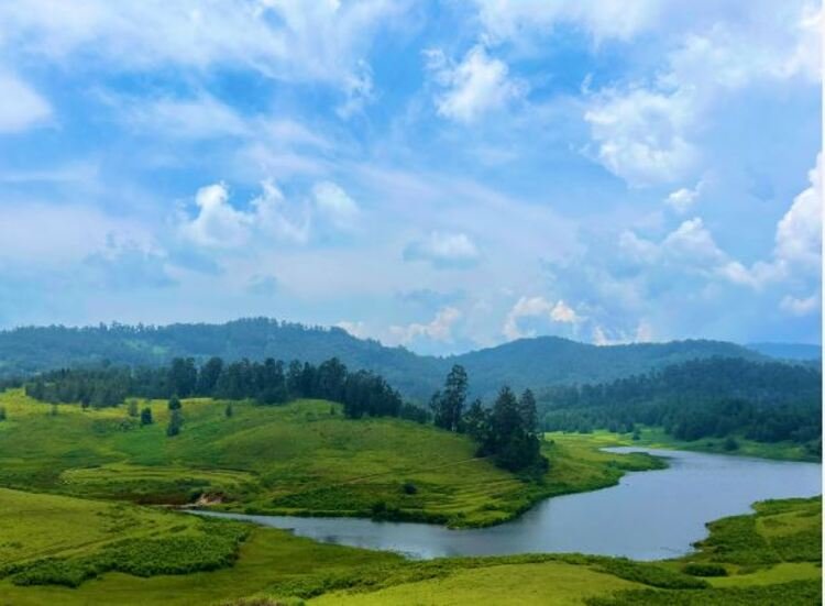 Travels in Kodaikanal | Tour Packages in Kodaikanal | Best Travels in Kodaikanal | Local Tour Packages in Kodaikanal | Kodaikanal Travels | Cab Rentals in Kodaikanal | Car Booking in Kodaikanal | Hotel in Kodaikanal | Cottages in Kodaikanal | Resorts in Kodaikanal | Hotels and Resorts in Kodikanal | Camp Fire in Kodiakanal | Kodaikanal Resorts | Kodaikanal Hotels | Group Tours | Corporate Tours | Kodaikanal Package Tours | Kodaikanal sightseeing tour package| kodaikanal local tours|Honeymoon Packages| Honeymoon package in kodaikanal|kodaikanal Tour package | Kodaikanal Tours | Kodaikanal Sightseeing | Kodaikanal | Kodaikanal Hotels | Kodaikanal Budget Hotels | Kodaikanal Economy Hotels | Kodaikanal |Kodaikanal Hotels rates below 500| Budget cottages in Kodaikanal with rates | Kodaikanal Car Rental |Car Rental Kodaikanal |Taxi in Kodaikanal | Kodaikanal Taxi Service | Kodaikanal Cabs |South India Tours | Madurai Tours | Rameshwaram Tours | Kanyakumari Tours | Munnar Tours | Alleppey tours | Kerala tours | Thekkady tours