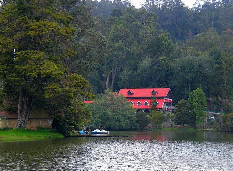 Travels in Kodaikanal | Tour Packages in Kodaikanal | Best Travels in Kodaikanal | Local Tour Packages in Kodaikanal | Kodaikanal Travels | Cab Rentals in Kodaikanal | Car Booking in Kodaikanal | Hotel in Kodaikanal | Cottages in Kodaikanal | Resorts in Kodaikanal | Hotels and Resorts in Kodikanal | Camp Fire in Kodiakanal | Kodaikanal Resorts | Kodaikanal Hotels | Group Tours | Corporate Tours | Kodaikanal Package Tours | Kodaikanal sightseeing tour package| kodaikanal local tours|Honeymoon Packages| Honeymoon package in kodaikanal|kodaikanal Tour package | Kodaikanal Tours | Kodaikanal Sightseeing | Kodaikanal | Kodaikanal Hotels | Kodaikanal Budget Hotels | Kodaikanal Economy Hotels | Kodaikanal |Kodaikanal Hotels rates below 500| Budget cottages in Kodaikanal with rates | Kodaikanal Car Rental |Car Rental Kodaikanal |Taxi in Kodaikanal | Kodaikanal Taxi Service | Kodaikanal Cabs |South India Tours | Madurai Tours | Rameshwaram Tours | Kanyakumari Tours | Munnar Tours | Alleppey tours | Kerala tours | Thekkady tours