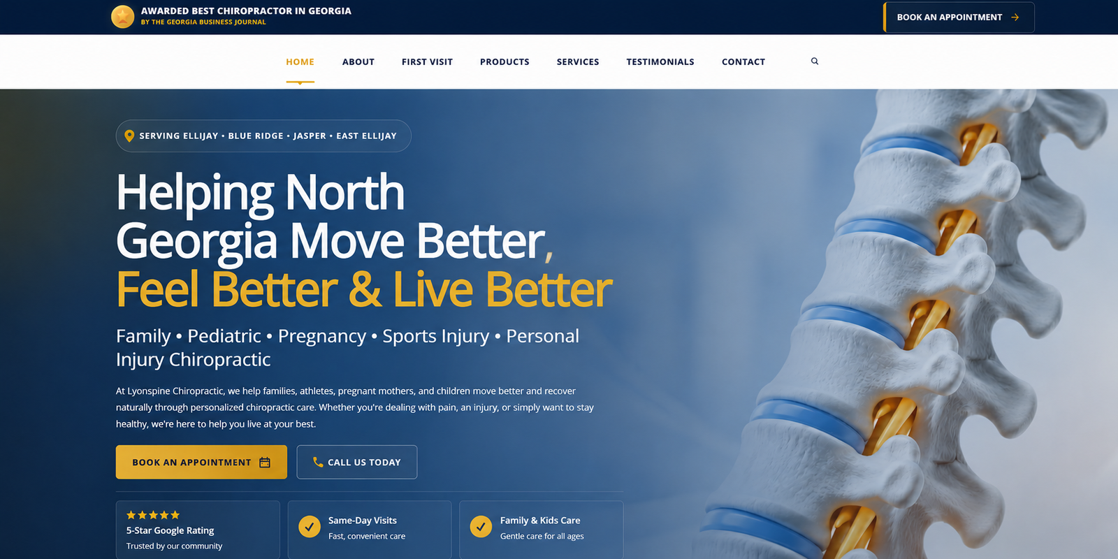 Healthcare website development project for a healthcare business in Georgia USA